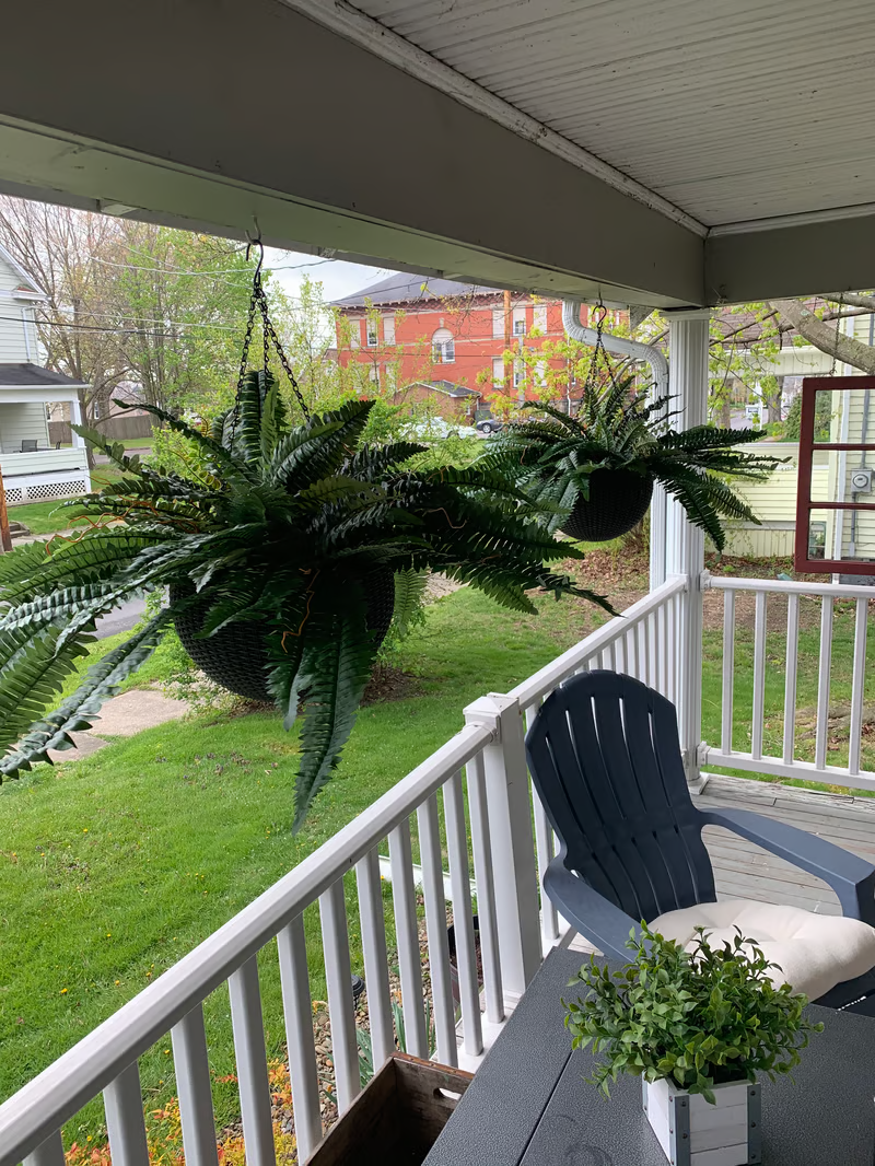 🔥Last Day 75% OFF--🌿UV Resistant Lifelike Artificial Boston Fern