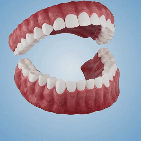 NESLEMY™ Advanced Customized Full Denture Set